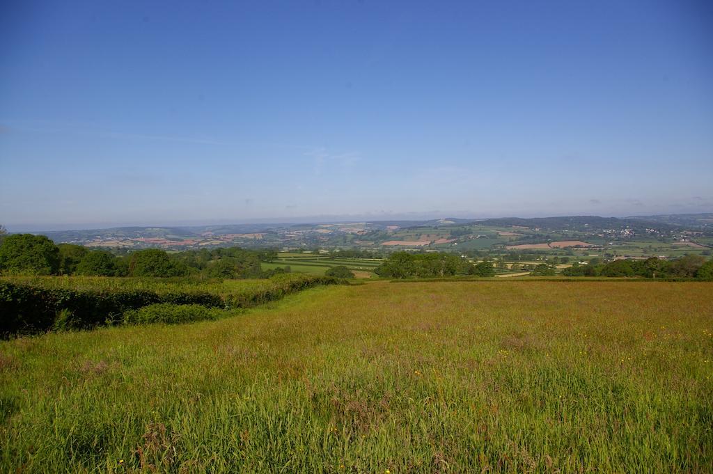 Wyke Farm Axminster Exterior photo